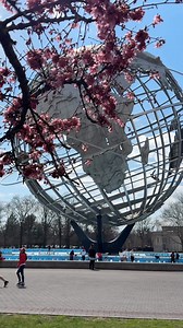 Spring has arrived in Queens! 🌸 The Okame cherry trees are putting on a stunning display at Flushing Meadows-Corona Park. Pink petals, blue skies, and the iconic Unisphere — the perfect combo! Have you seen the cherry blossoms yet? Let me know your favorite spot in NYC for spring blooms! | New York City Photos