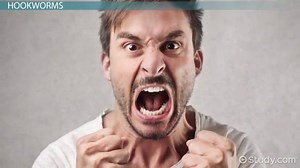 Parasitic Zoonotic Infections