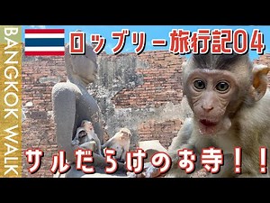 ロッブリー街ぶら！猿だらけのお寺プラーンサームヨート【ロッブリー旅行記０４】