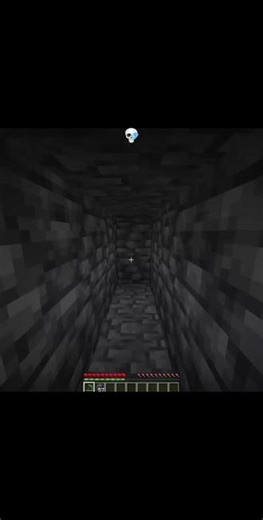 萨罗尼出卖兄弟罗布😭😭😭结果被痛扁了一顿👿 #内容过于真实 #mc不灭 #minecraft 罗布被坚守者揍了一顿😭😭😭