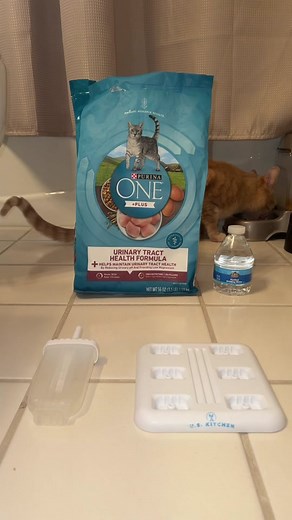 The Chicken Cat Food🍗🐱 This is not for HUMANS to eat⚠️I made this for my cat 🐈 I hope she likes it😊 It’s her favorite snack😍#cat #catfood #chicken #popsicle #kitty #purina #crunchy #foodforcats