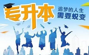 专升本计算机（彻底解决Excel，办公软件应用）