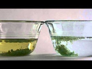 Pop Rocks in oil and in water