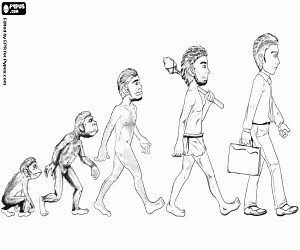 Human evolution in five stages coloring page printable game