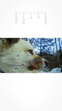 【冬の日光澤温泉】#日光 #鬼怒川#登山 #nikko #winter #japan #japantravel