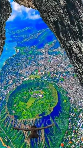 Amazon Jungle – Duniya Ka Sab Se Khaufnaak Jungle! 😱🌿#viral#amazonrainforest #viral