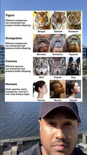 Different subspecies, can interbreed and produce fertile offspring.