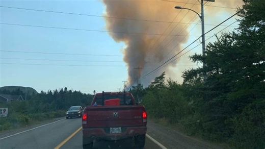 Wildfire near Holyrood, N.L., prompts evacuation for some parts of the region