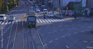 A traffic of tram and vehicle at the gingko tree crossing