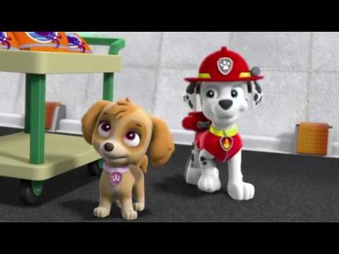 Paw Patrol - Pups Save Walinda NEW CLIP 2016