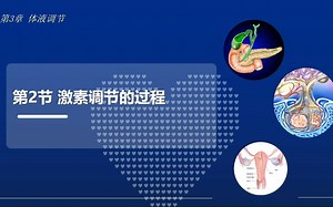 激素调节的过程第1课时