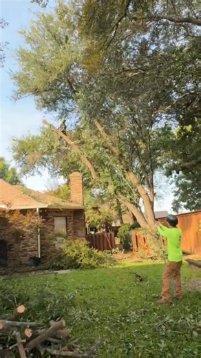 Kings Tree Services, LLC on Reels