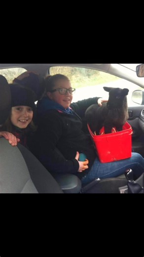 Penblwydd Hapus Mags fach !! Ni gyd yn prowd uffernol da popeth ti’n neud 💪🐄 🚜 🐑 Caru ti ir lleuad a nôl !! 🥳🎂🎈🎉🥳 XxXx | Meinir Owens