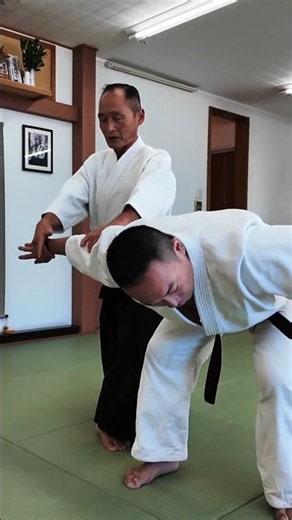 Aikido Skill With Ando Sensei
