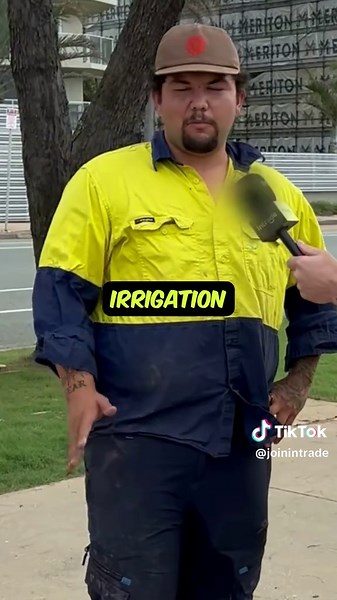 Exploring Trade Earnings: Insights from Tradies