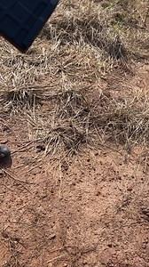 Latest post sample, full auto Saiga12