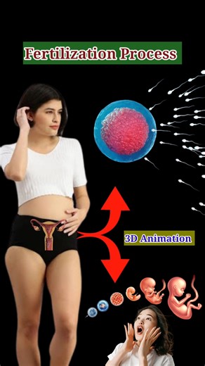 Fertilization Process 3D Animation #fertilityjourney #fertilization #fertilizer