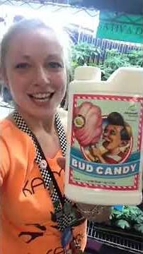 Bud Candy Advanced Nutrients