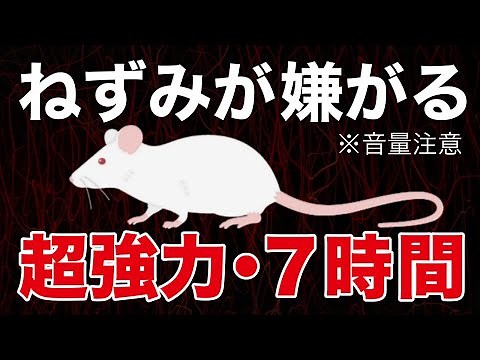 【７時間】超強力なネズミが嫌がる音、ねずみ ハクビシン アライグマ撃退