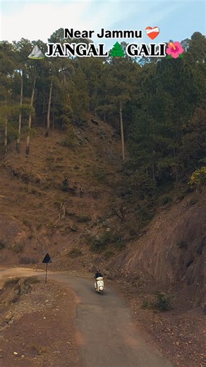 🌲🅹🅰🅽🅶🅰🅻🍁🅶🅰🅻🅸 🌲 on Instagram: "Follow Our Page 🌺"