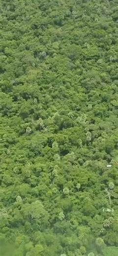 AVIONETA SE PRECIPITA EN LA RUTA TRINIDAD – SANTA ANA DEL YACUMA En horas de la mañana de este jueves, una avioneta que cubría la ruta Trinidad – Santa Ana del Yacuma sufrió un percance aéreo, cayendo en una zona alejada y de difícil acceso a pocos minutos de haber despegado desde la capital beniana. Equipos de búsqueda lograron ubicar visualmente la aeronave siniestrada; sin embargo, aún no consiguieron llegar hasta el punto exacto debido a las complicadas condiciones del terreno. La ausencia d
