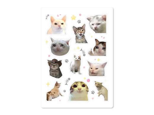 Funny Cat Meme Sticker Sheet Waterproof Vinyl – 11 Piece Set of Viral Cat Faces - Etsy