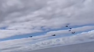 “鱼儿上钩了”