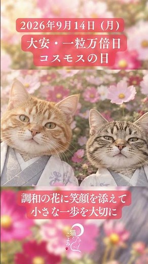 【9月14日(月)】今日は何の日？コスモスの日｜大安×一粒万倍日 #暦 #今日は何の日 #コスモスの日 #コスモス #秋桜 #大安 #一粒万倍日