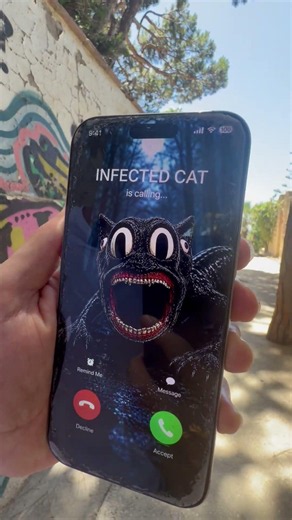 INFECTED CAT CALLED US! 😱