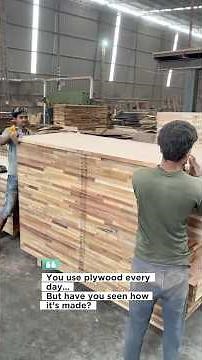 How Plywood Is Made in Factory | Complete Manufacturing Process