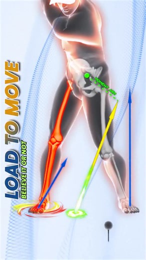 Load to move, a key’s observation from @db.golfcoach 📈 The farther we push laterally toward the end of the backswing, the more the ground reaction force tilts, building a stronger moment arm necessary to optimizing your ground force. 🔐 The real secret lies in keeping the center of mass stable, avoiding unnecessary sway away from the target. 💡Remember: you don’t move to create the load, you load to create the movement. #golfbiomechanics #golfanatomy #golf3d #golfswing #golftipsdaily #golfamate