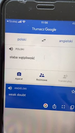 Learn Polish with Google Translate: Fun Translations
