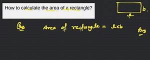 How to calculate the area of a rectangle?... | Filo