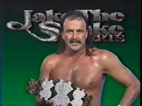 Jake Roberts Promo on Ted DiBiase (02-25-1990)