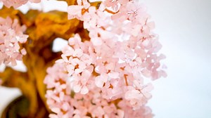 Natural Amethyst Gemstone Crystal Bonsai Tree of Life Large Feng Shui Money Chakra Tree for Luck and Wealth Desk Decoration(1,251 Gem Count)