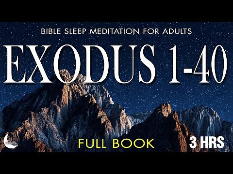 The Book of Exodus | Reading | Full Book of Chapters 1-40 | Holy Audio Bible