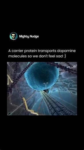 MIGHTY on Instagram: "Inside the human brain, tiny carrier proteins work nonstop to keep our emotions in balance. One of their most important jobs is transporting dopamine, a neurotransmitter closely linked to motivation, pleasure, and mood. Without this precise transport system, dopamine wouldn’t reach the places where it’s needed—and our emotional state would suffer. After dopamine is released between neurons, a special carrier called the dopamine transporter (DAT) moves excess dopamine back i