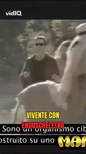 TERMINATOR VS GESU' (PARODIA) : Sono un organismo cibernetico!