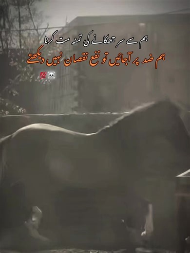 Samj ja ⚜️💯#viral_video #viralkrdo?????🤌🏻🤌🏻 #freeplastine🇪🇭❤ #unfreezmyaccout🥀💫। #foryoupageofficiall❤️❤️tiktoklover