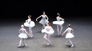 Vienna State Opera, funny ballet. Слава Украине!