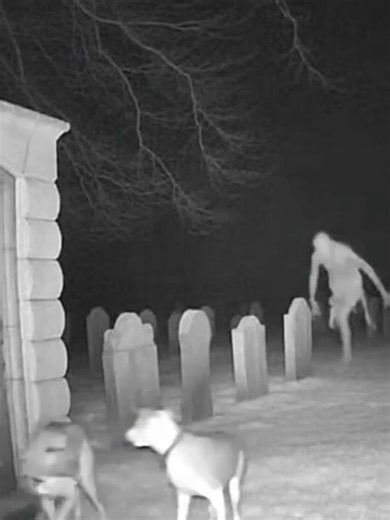 We thought it was a person in need of help… ​ Then, in an instant, it became something else entirely. #GhostHunting #BerkleyStreet #GhostStories #ScareStreet #HorrorFan #HauntedHouse #Scary #Paranormal #Ghost
