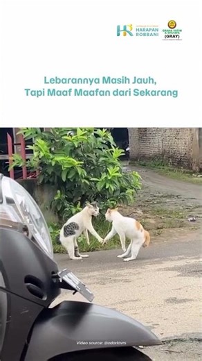Cicil Maaf dari Sekarang Biar Pas Lebaran Gak Antre!