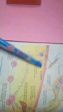 Plasmodium vivex causes Malaria. #biology