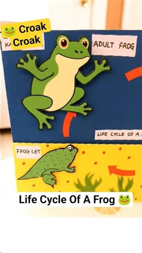 Cutest Frog Life Cycle Science Project Ever 🐸 Pistachio Shell Tadpole #shorts #diycrafts #shortsfeed