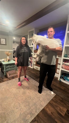 Adorable Cat Moments with Figaro