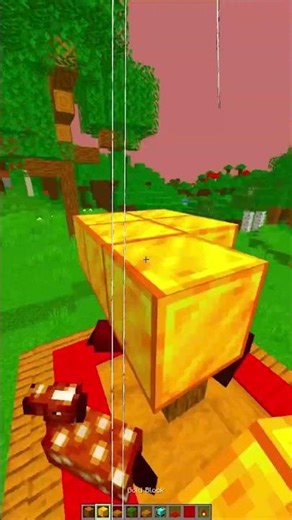 Carousel Ride...🤯 (Sea Shanty Medley) #minecraft #shorts