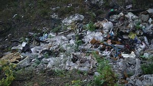 Footage Forest Pollution. Dump Garbage in Woods.