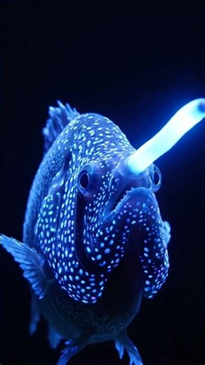 Bioforge Genesis: Abyssal Anglerfish | BF2.0 Log #06