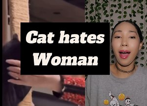 That cat slapped the crap out of her 😂 #angrycat #catslaps #funnyreels #catreels #reaction #reactionreels | Schiffair C