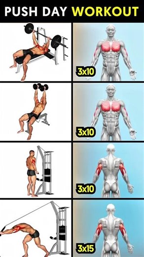 Push Day Workout for Muscle Growth 💪🏻